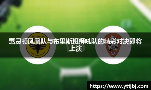 惠灵顿凤凰队与布里斯班狮吼队的精彩对决即将上演